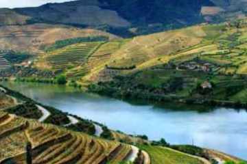 A view of Douro