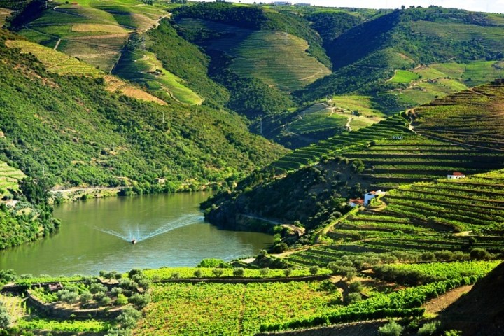 Douro