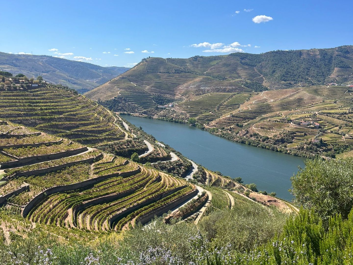 Terraced vineyard hills overlooking a river under a clear blue sky.